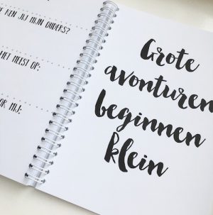 Kraambezoekboek - Afbeelding 7