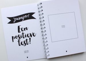 Ik ben zwanger- Negen maanden boek - Afbeelding 3