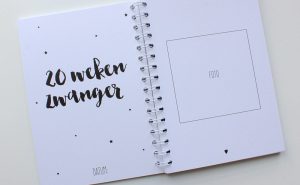 Ik ben zwanger- Negen maanden boek - Afbeelding 5