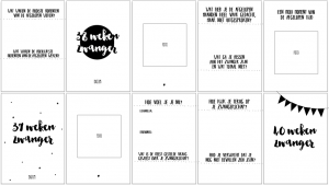 Ik ben zwanger- Negen maanden boek - Afbeelding 15