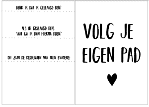 Schoolfotoboek - van brugklas tot eindexamens - Afbeelding 13