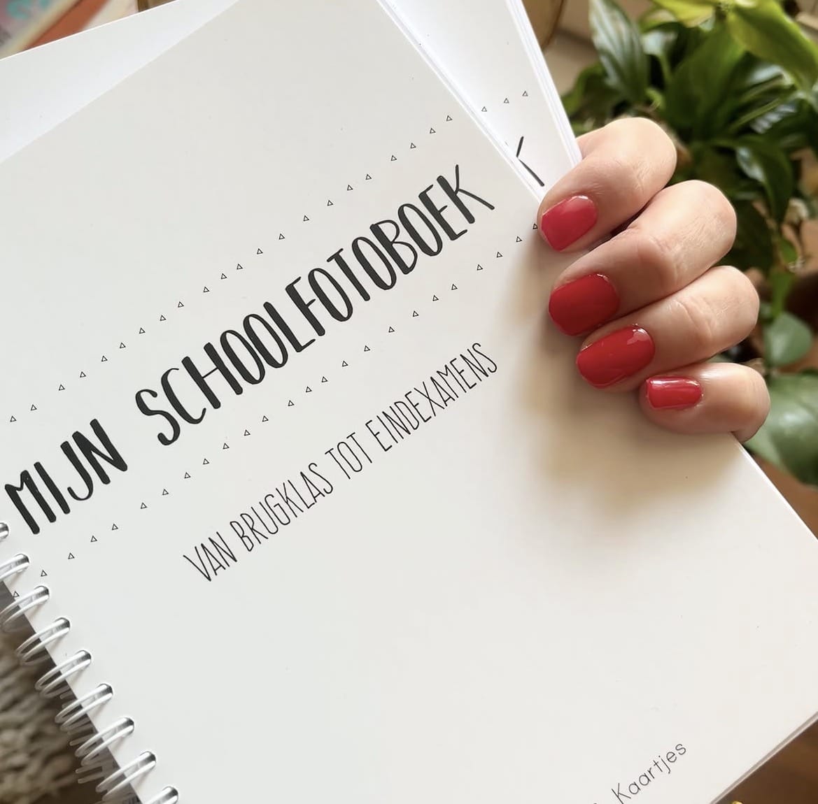 Schoolfotoboek - van brugklas tot eindexamens (licht beschadigd)